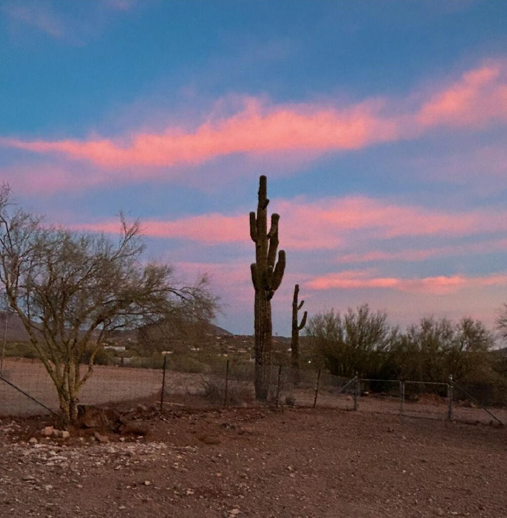 New River, AZ