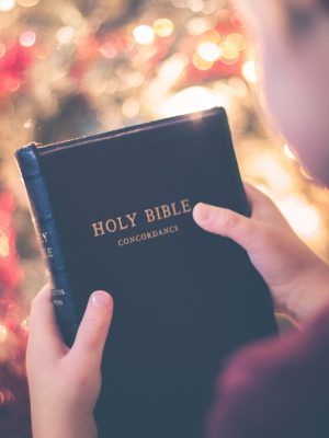 holy, book, bible-2598304.jpg